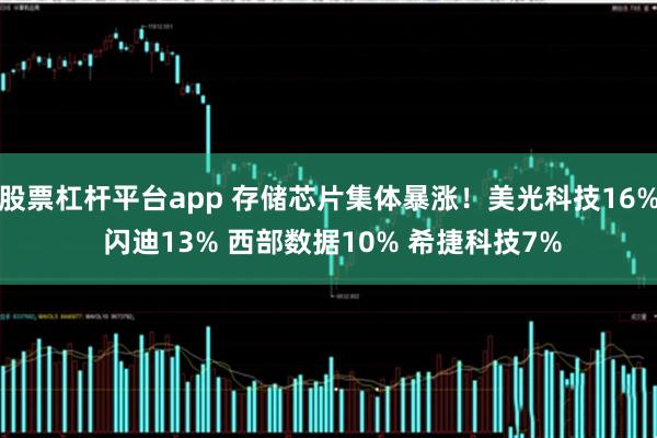 股票杠杆平台app 存储芯片集体暴涨！美光科技16% 闪迪13% 西部数据10% 希捷科技7%