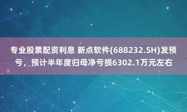 专业股票配资利息 新点软件(688232.SH)发预亏，预计半年度归母净亏损6302.1万元左右
